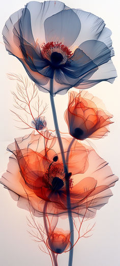 two flowers with red and blue petals are shown in this artistic photo, against a white background