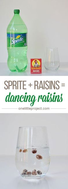 a bottle of water and two glasses on top of a white surface with the words spirite + raisins = dancing raisins