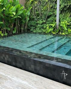 an outdoor swimming pool surrounded by greenery