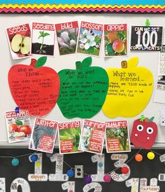 an apple bulletin board with lots of pictures and words attached to the back of it