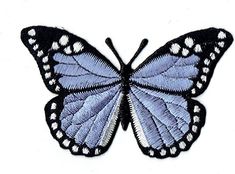 a white and black butterfly on a white background