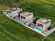 an aerial view of two houses in the middle of a rice field, with pool and hot tubs