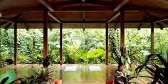 the inside of a house with lots of plants and candles on the table in front of it