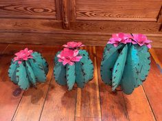 three green cactus plants with pink flowers sitting on the floor next to a wooden door