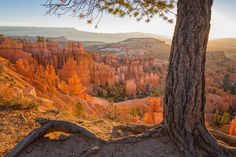 Ut Photograph - Bryce Canyon National Park Sunrise 2 - Utah by Brian Harig