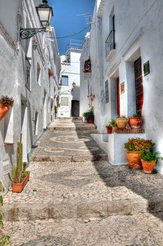 an alley way with potted plants on either side