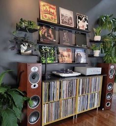 an entertainment center with various records and plants