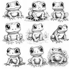 the different types of frogs are shown in black and white, including one frog with large eyes