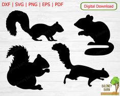 the silhouettes of squirrels and squirrels are shown in black on white wood background