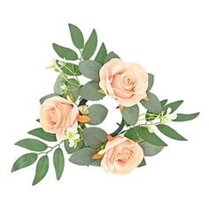 some pink roses and green leaves on a white background