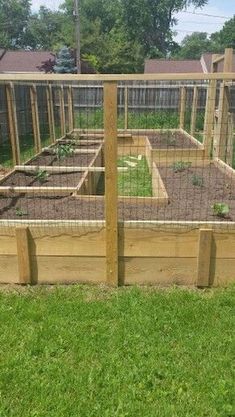 an outdoor garden area with raised beds and fencing