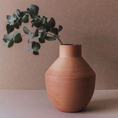 a vase with a plant in it sitting on a table next to a brown wall