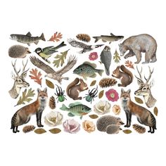 an image of various animals and plants on a white background, including deer, fish, hedgehogs