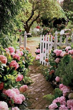 a white picket fence surrounded by lots of flowers