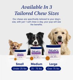 two dogs and three jars of pet products with the caption, available in 3 tailored chew sizes