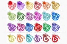 an assortment of different colored spirals on a white background with the words,'flower swirl