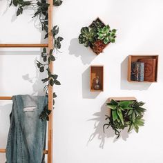 some plants are hanging on the wall next to shelves