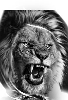 a black and white photo of a lion with its mouth open