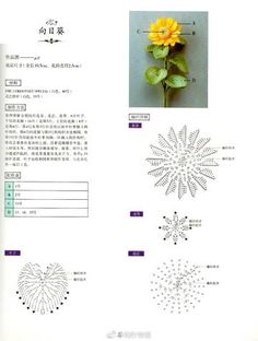 an open book with instructions on how to make flowers and other things in the pages