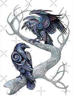 "Hugin and Munin" Greeting Card for Sale by Hannah Böving | Redbubble Odin's Eye, Rabe Tattoo, Arte Viking, Kunst Tattoos, Raven Tattoo, Black Birds, Raven Art