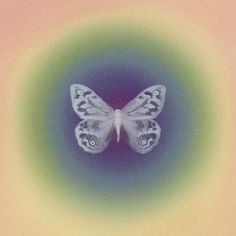 a white butterfly sitting on top of a green and yellow circular object in the center