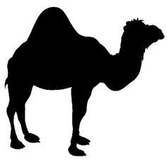 a black and white silhouette of a camel