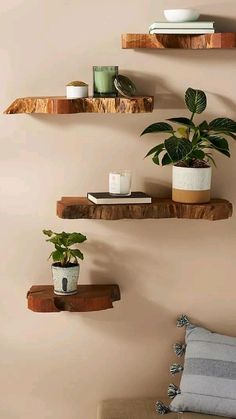 three wooden shelves with plants and books on them