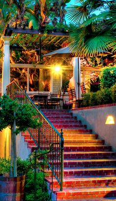 an outdoor staircase leading up to a house with palm trees and potted plants on either side