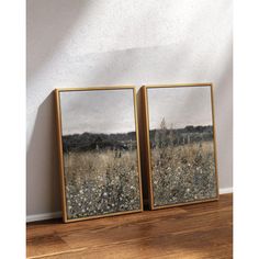 two framed pictures sitting on top of a wooden floor next to each other in front of a white wall