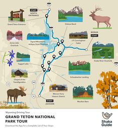 Yellowstone and Grand Teton Itinerary - Maps, Tips, and FAQs Yellowstone National Park Wildlife, Yellowstone Map, Acadia National Park Camping, Yellowstone Vacation, Yellowstone Trip, West Yellowstone, National Park Vacation