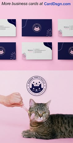 a cat laying on top of a pink floor next to business cards and a person's hand