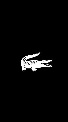 an alligator is silhouetted against a black background