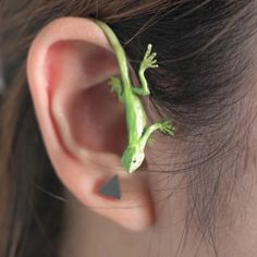 a small green lizard sitting on top of a persons ear