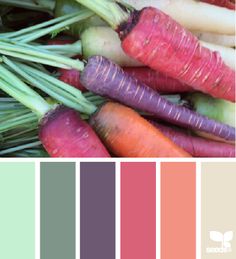 the color scheme for carrots is shown in red, green and purple colors with text that reads carrot hues design seeds