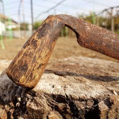 an old hammer stuck into a tree stump