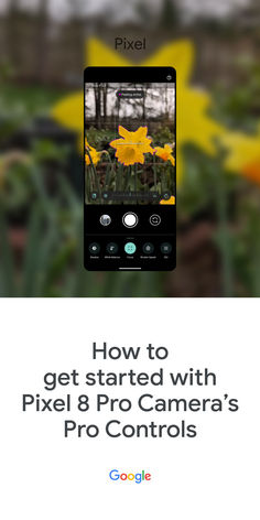 A blurry photo of yellow flowers. A Pixel phone is overlaid on top showing the camera open with Pro Controls open and the flowers in focus. Text reads: How to get started with Pixel 8 Pro Camera's Pro Controls Pro Camera, How To Use, Get Started, Affirmations