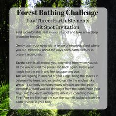 Grounding Therapy, Eco Therapy, Sit Spots, Forest Gardens, Nature Healing, Nature Connection