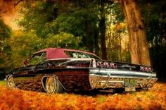 an old car is parked in the leaves