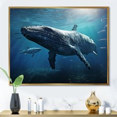 a large whale swimming in the ocean with other animals around it's edges and under water