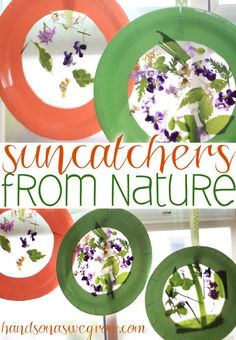 four different pictures with the words suncatchers from nature on them, including paper plates and flowers