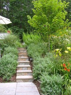 a garden with steps leading up to an umbrella