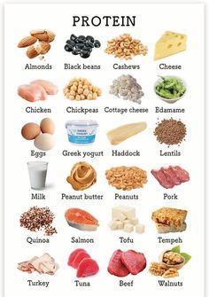 Bariatric & High Protein Recipes 2025 | Protein 🥩🍗🧀 | Facebook