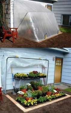 an image of a small greenhouse being used as a planter for flowers and plants