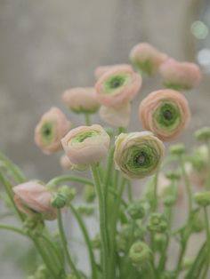 black and white photograph of flowers in a vase