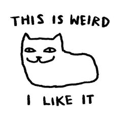 a black and white drawing of a cat with the words, this is weird i like it