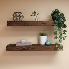 two wooden shelves with plants and bowls on them, along with other items such as a potted plant