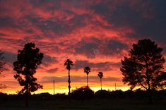 the sun is setting behind some palm trees