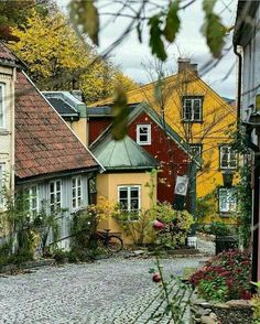 a cobblestone street lined with colorful houses in the fall season, surrounded by trees and foliage