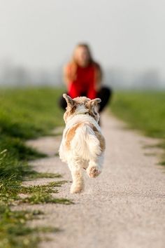 a small white dog running down a dirt road next to a woman on a bike