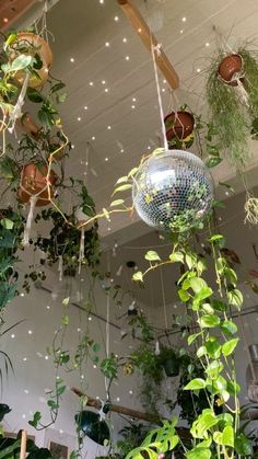 several plants hanging from the ceiling in a room with disco ball lights and potted plants